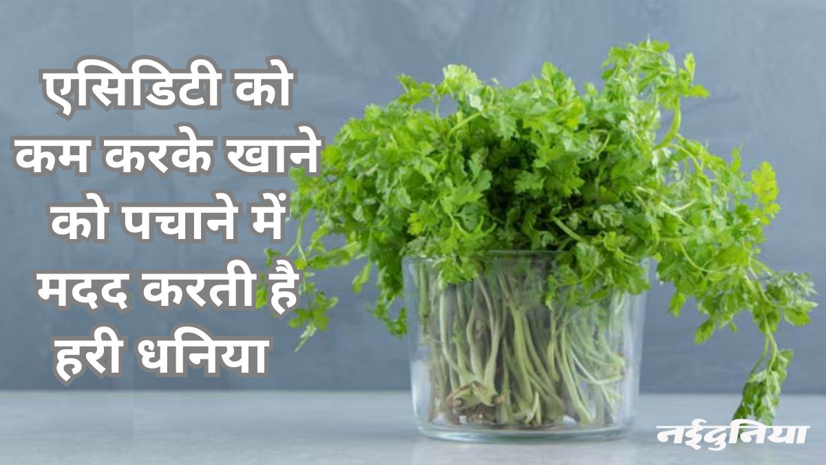 naidunia_image
